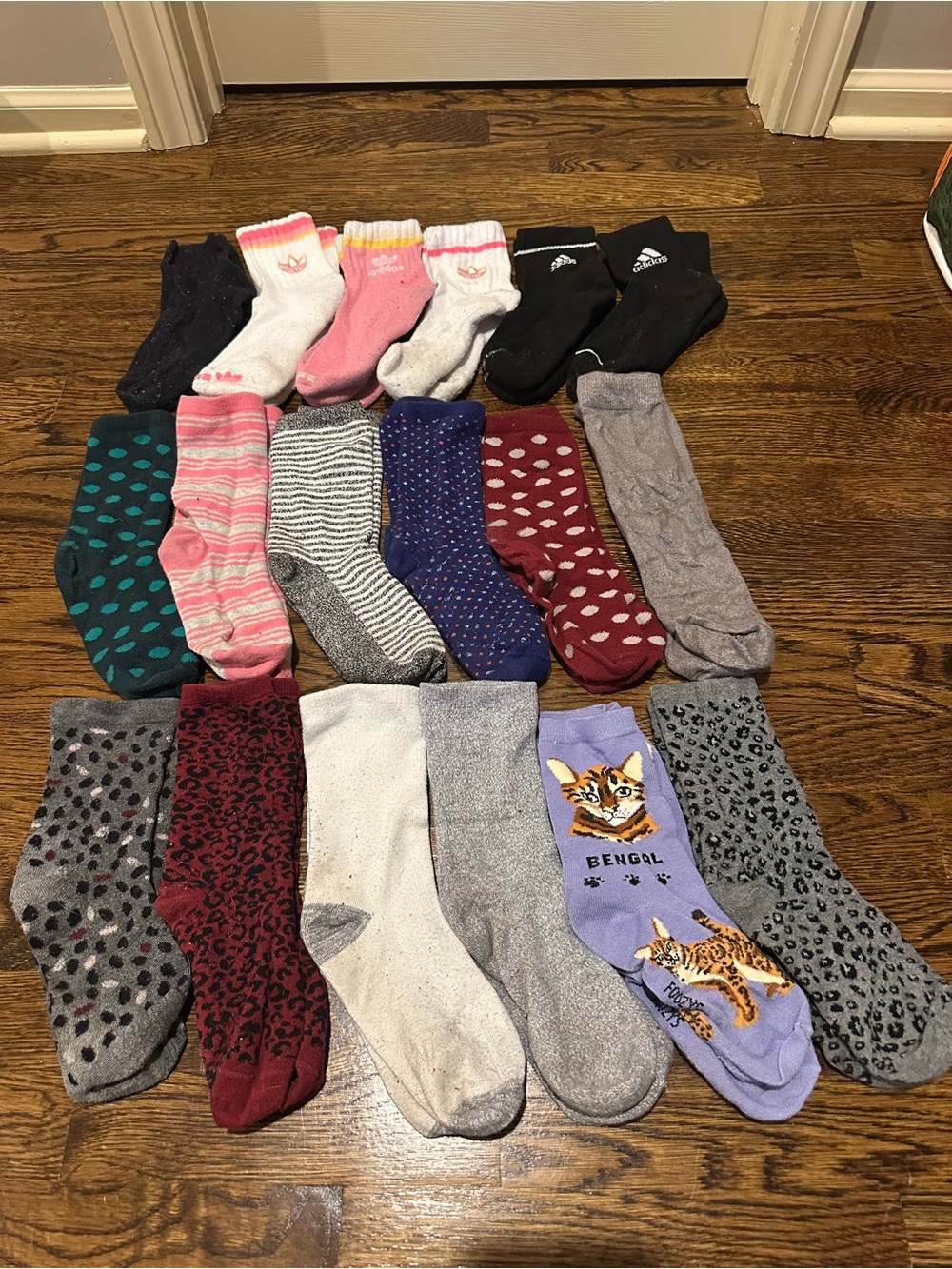 Crew and Ankle Socks with Colorful Assorted Women's Socks